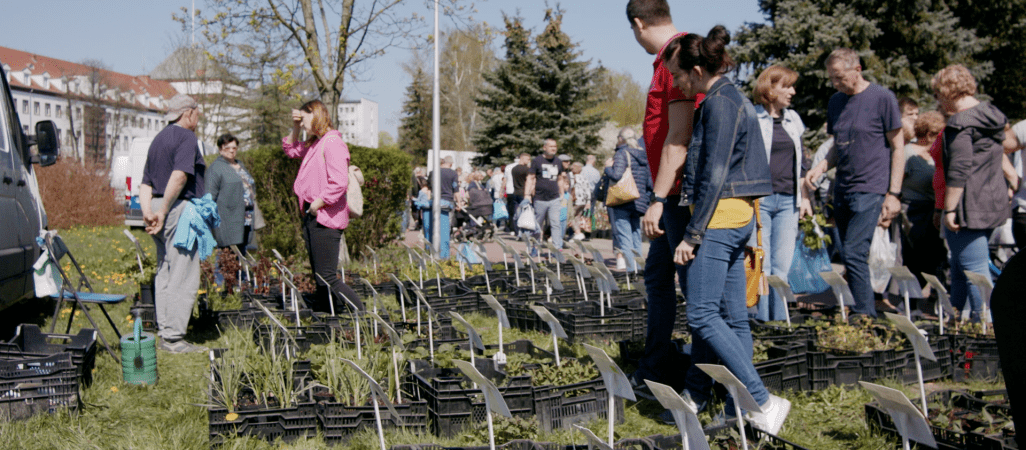 Ogrodnicze święto na pilskiej Wyspie