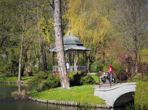 Trwa koszenie traw w parku - oburza się czytelniczka  - grafika