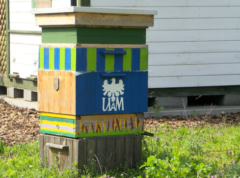 Edukacyjna pasieka budzi się na wiosnę - grafika