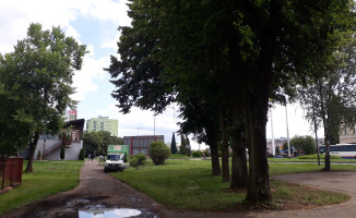 Skwer Pawła Adamowicza w Pile? Piechowiak mówi: nie 