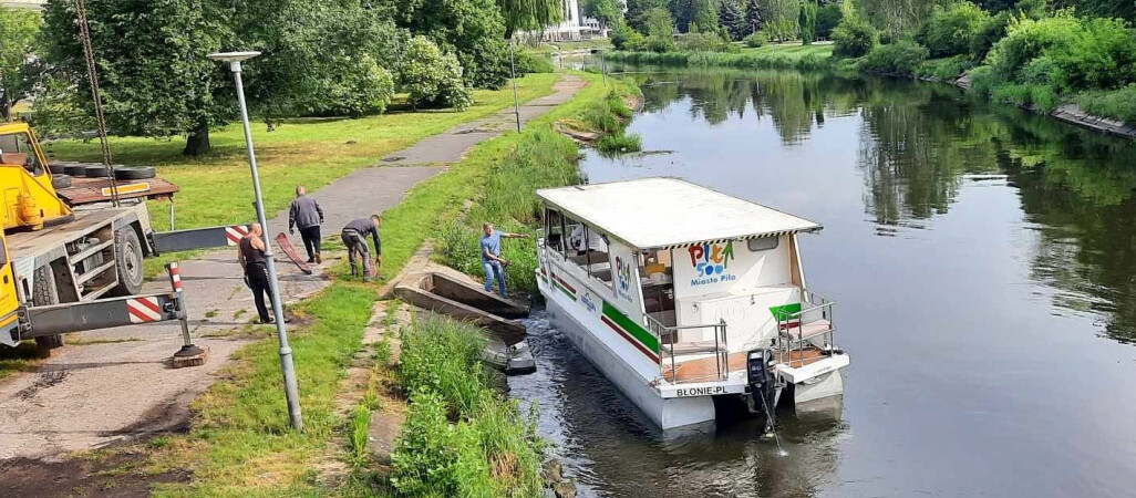 Gordalina już na Gwdzie