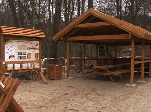 Pszczela ścieżka edukacyjna  - grafika