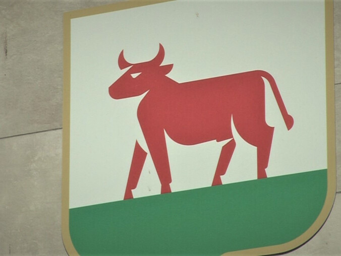 Co z logo Trzcianki? Komisja Heraldyczna je zakwestionowała  - grafika