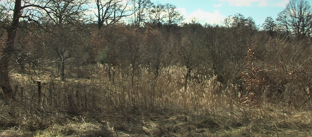 Powstaje kolejna strefa ekonomiczna