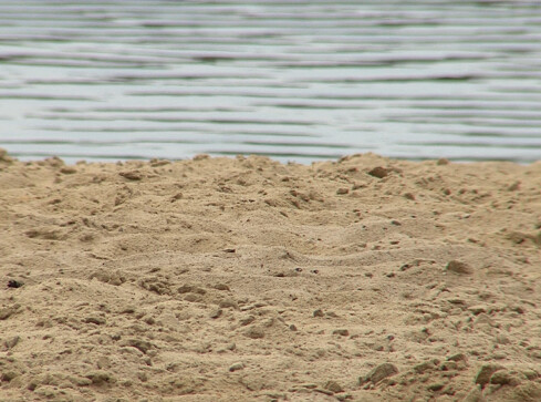 Trzcianka szykuje się do wakacji - grafika