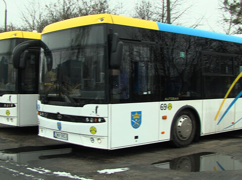 Wojna z autobusami w tle - grafika