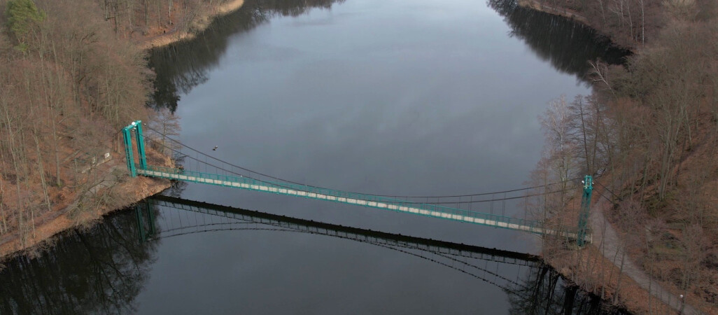 Wycinka drzew na Bukowinie w Wałczu