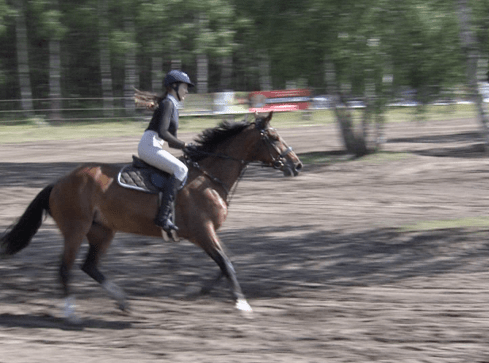 Za nami zawody towarzyskie w skokach przez przeszkody w Kołatniku - grafika