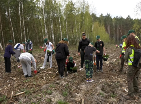 Las pamięci Jana Pawła II - grafika