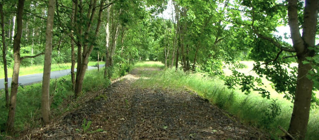 Budowa ścieżki rowerowej Złocieniec - Wałcz zawieszona