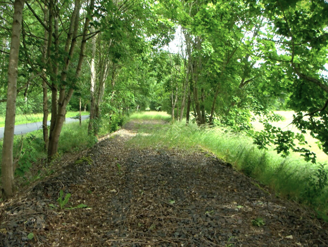 Budowa ścieżki rowerowej Złocieniec - Wałcz zawieszona  - grafika