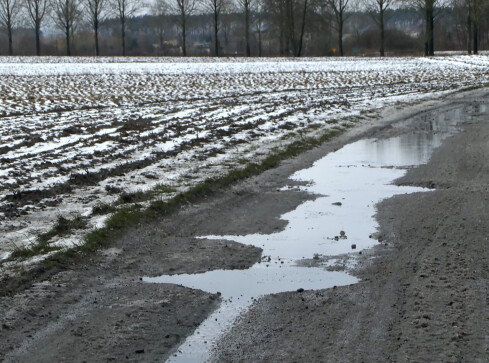 Nowa droga dla mieszkańców Poborcza - grafika