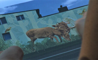 Legendarny Złotów. Na Kościuszki powstaje mural - VIDEO 