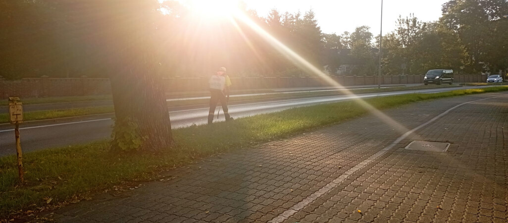 (Nie)bezpieczne opryski?