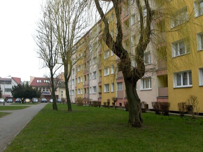 Pół miliona kary dla spółdzielni za wycięcie drzew - grafika