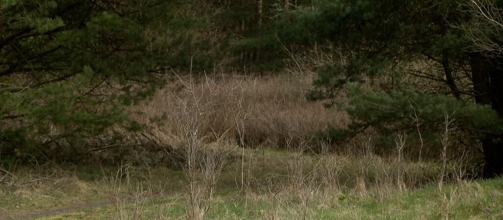 Bunkier, schron i okopy w złotowskim skansenie
