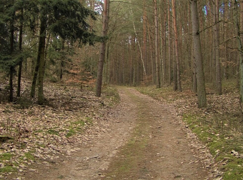 Szlaki turystyczne do renowacji  - grafika