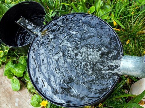 Weź kasę za gromadzenie deszczówki. Rusza nabór wniosków „Moja  - grafika