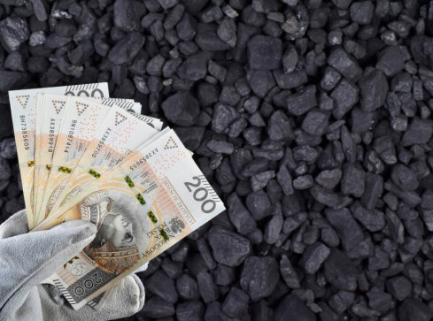 Dodatek węglowy. Tak może cię teraz prześwietlić urzędnik - grafika