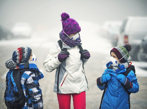 Do pieca będzie można wrzucić byle jaki węgiel - grafika