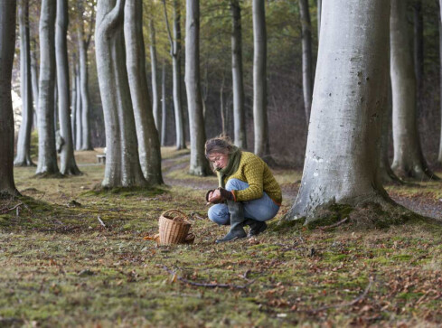Przeczytaj, zanim wybierzesz się do lasu. Coraz więcej zgłoszeń - grafika
