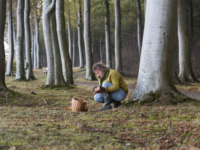 Przeczytaj, zanim wybierzesz się do lasu. Coraz więcej zgłoszeń - grafika