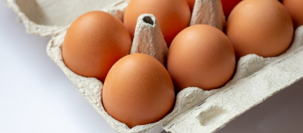 GIS ostrzega: popularne jajka z salmonellą