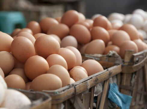 Salmonella na jajkach z Biedronki  - grafika