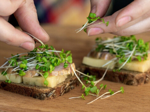 Na wiosenną kanapkę i do sałatki: kiełki z własnej hodowli - grafika