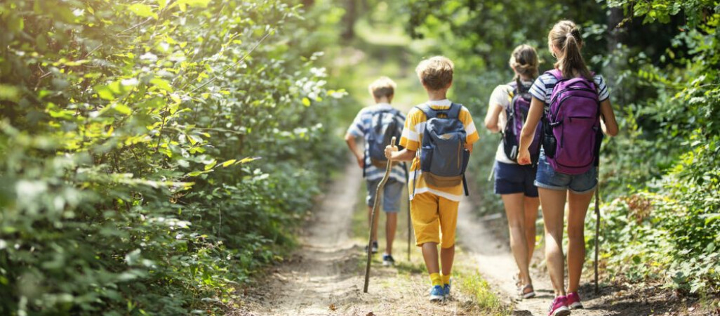 Kolonie i obozy wakacyjne po nowemu. O czym musimy wiedzieć?