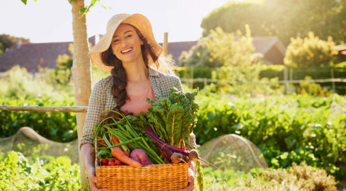 Lipiec w ogrodzie. Czas na zbiory i walkę ze ślimakami - grafika