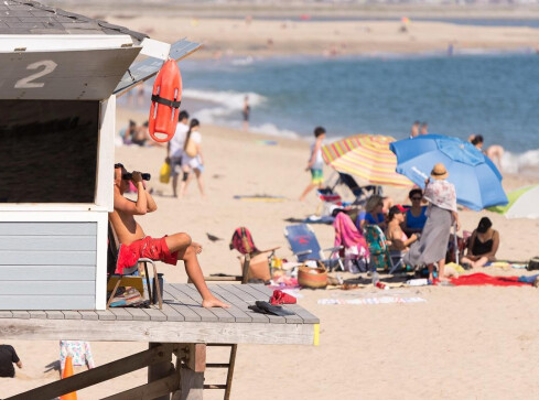 Wysokie stawki za pracę sezonową. Można nieźle dorobić  - grafika