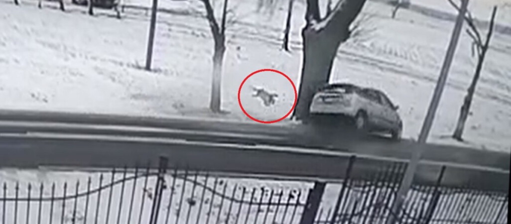 2-letnie dziecko wypada z auta. Policja pokazuje drastyczne nagranie. Nie bez powodu [WIDEO]