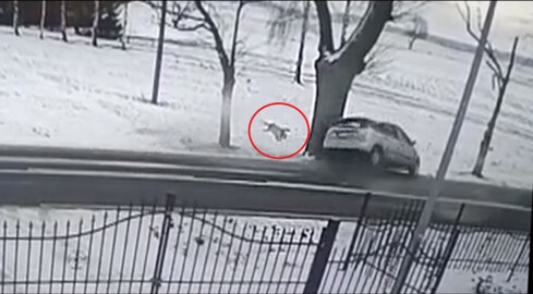 2-letnie dziecko wypada z auta. Policja pokazuje drastyczne nagranie.  - grafika