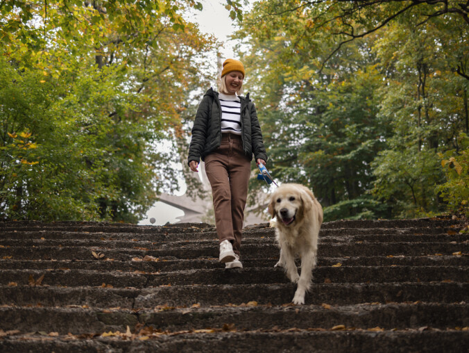 Masz psa, masz obowiązki. Uważaj, żeby mandat ci o nich nie przypom - grafika