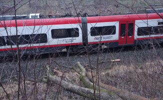 Drzewo spadło na trakcję kolejową i wagon - ZDJĘCIA 