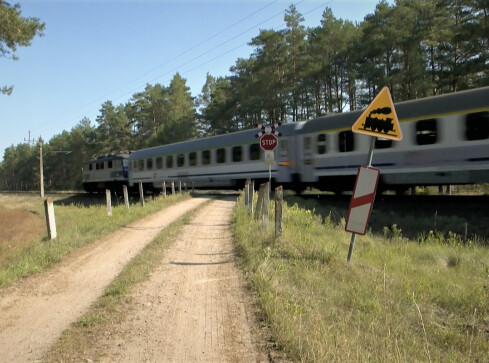 PKP likwiduje przejazdy kolejowe na drogach leśnych  - grafika