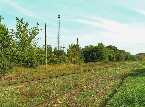 Co z linią kolejową Czarnków-Wągrowiec? - grafika
