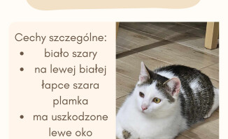 500 zł nagrody za odnalezienie Yogusia