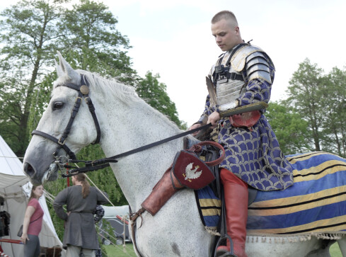 Husaria. Kiedyś budziła strach, a dziś podziw i wspomnienia - grafika