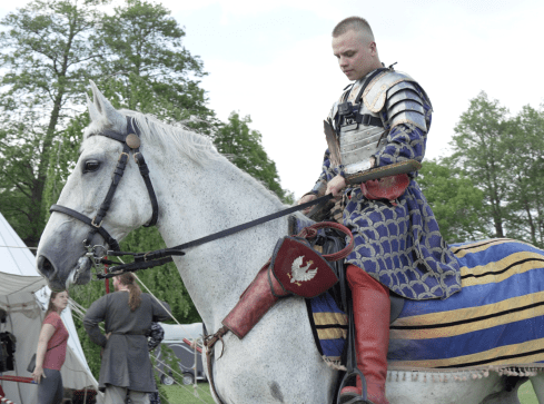 Husaria. Kiedyś budziła strach, a dziś podziw i wspomnienia - grafika