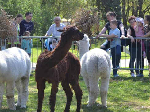 XII odsłona popularnej wystawy - grafika