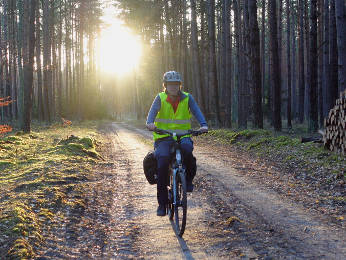 O rowerach z okazji ich święta - grafika