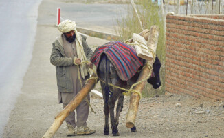 Nieznany Afganistan. Relacja z przedsionka piekła 