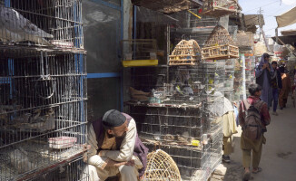 Nieznany Afganistan. Relacja z przedsionka piekła 