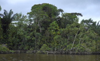 Na obrzeżach Ameryki Południowej: Gujany i Surinam