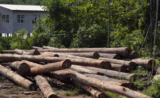 Na obrzeżach Ameryki Południowej: Gujany i Surinam