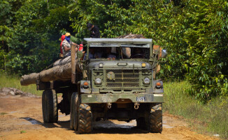 Na obrzeżach Ameryki Południowej: Gujany i Surinam