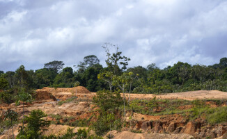 Na obrzeżach Ameryki Południowej: Gujany i Surinam