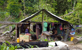 Na obrzeżach Ameryki Południowej: Gujany i Surinam